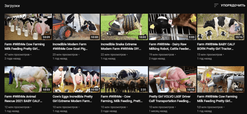 Как видео с коровами приносит автору от $100 000/год на YouTube — AffTimes.com