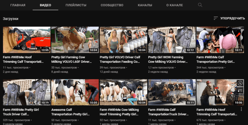 Как видео с коровами приносит автору от $100 000/год на YouTube — AffTimes.com