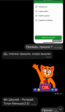 Отзывы Данил Хасенков ᐉ Телеграмм канал с Инсайдами на спорт